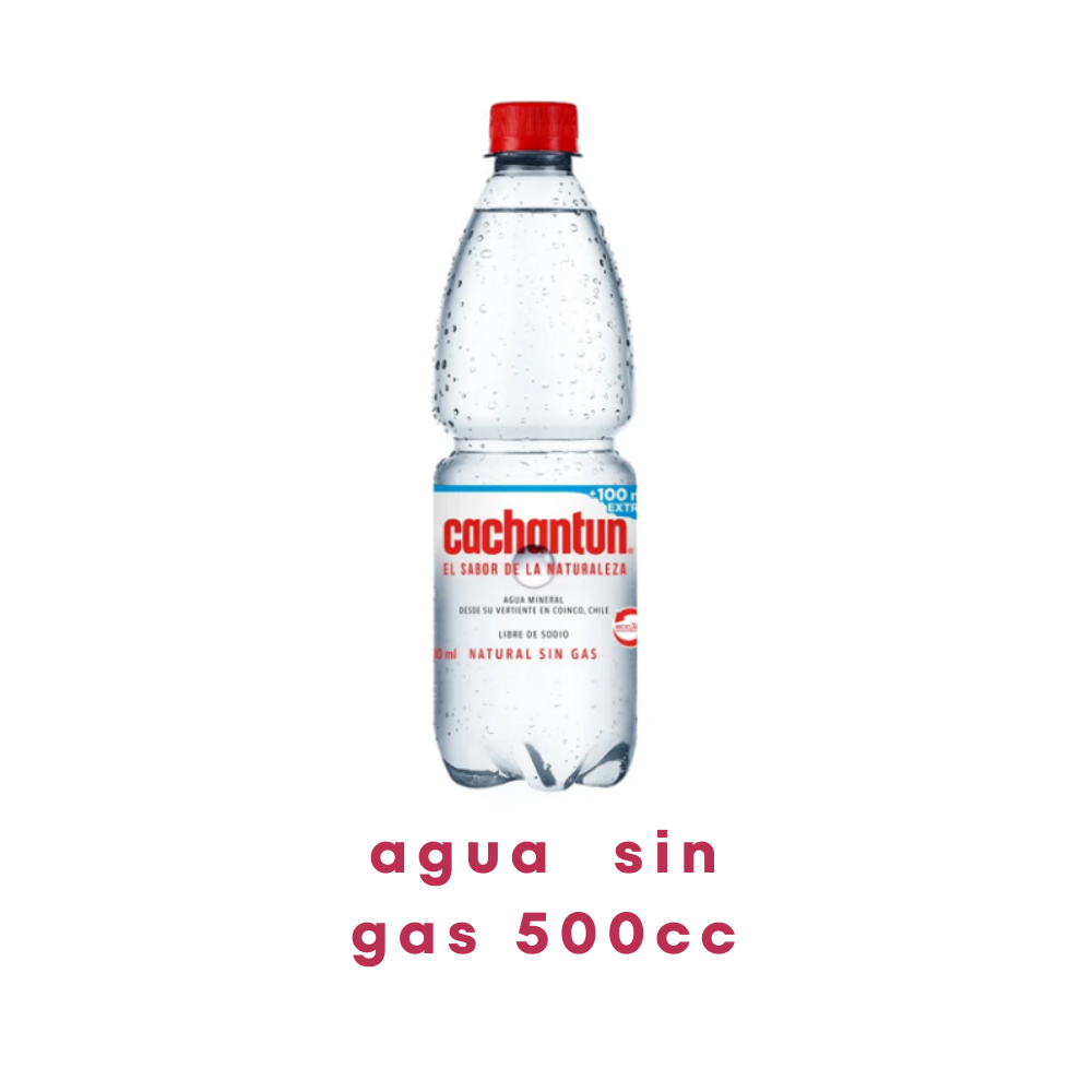agua sin gas 500cc