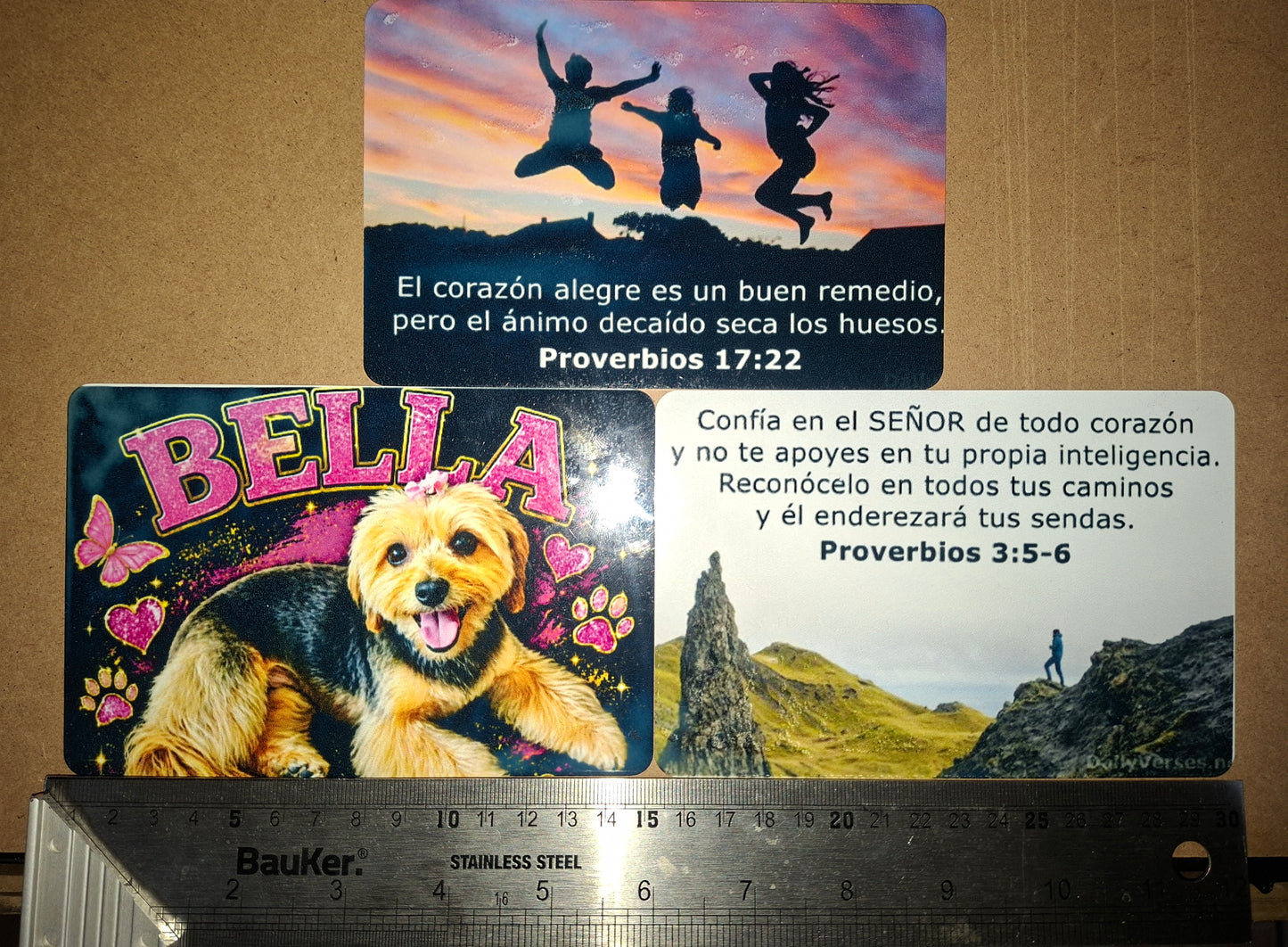 Placa Decorativa Metálica 10x15cm (Tu Diseño Personalizado)