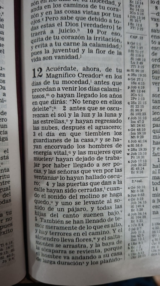 Cinta sublimada para Tu Marca 2,5cm