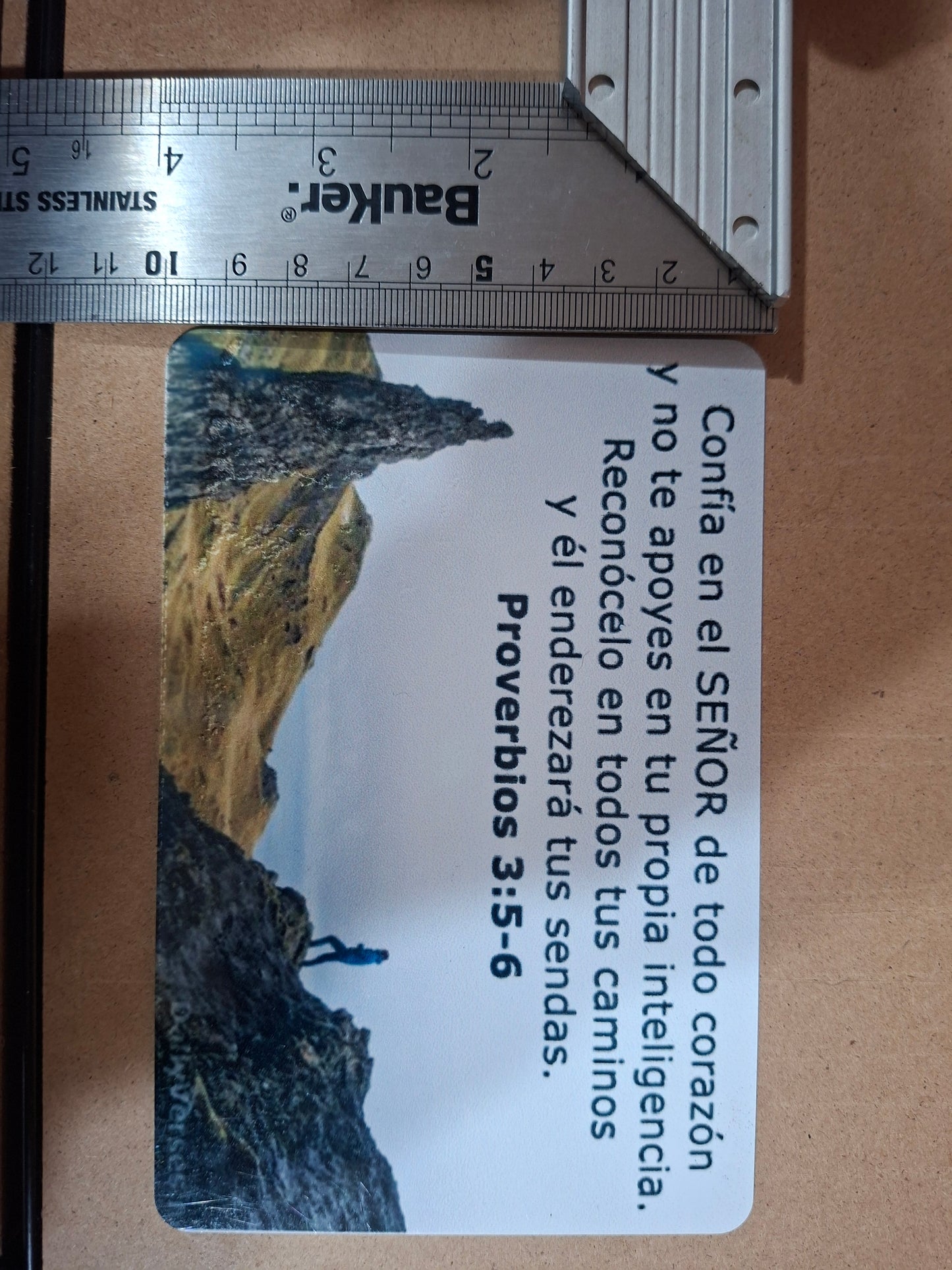 Placa Decorativa Metálica 10x15cm (Tu Diseño Personalizado)